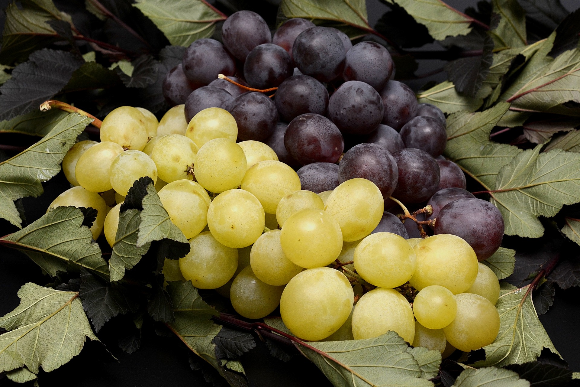 grapes-2792730_1920